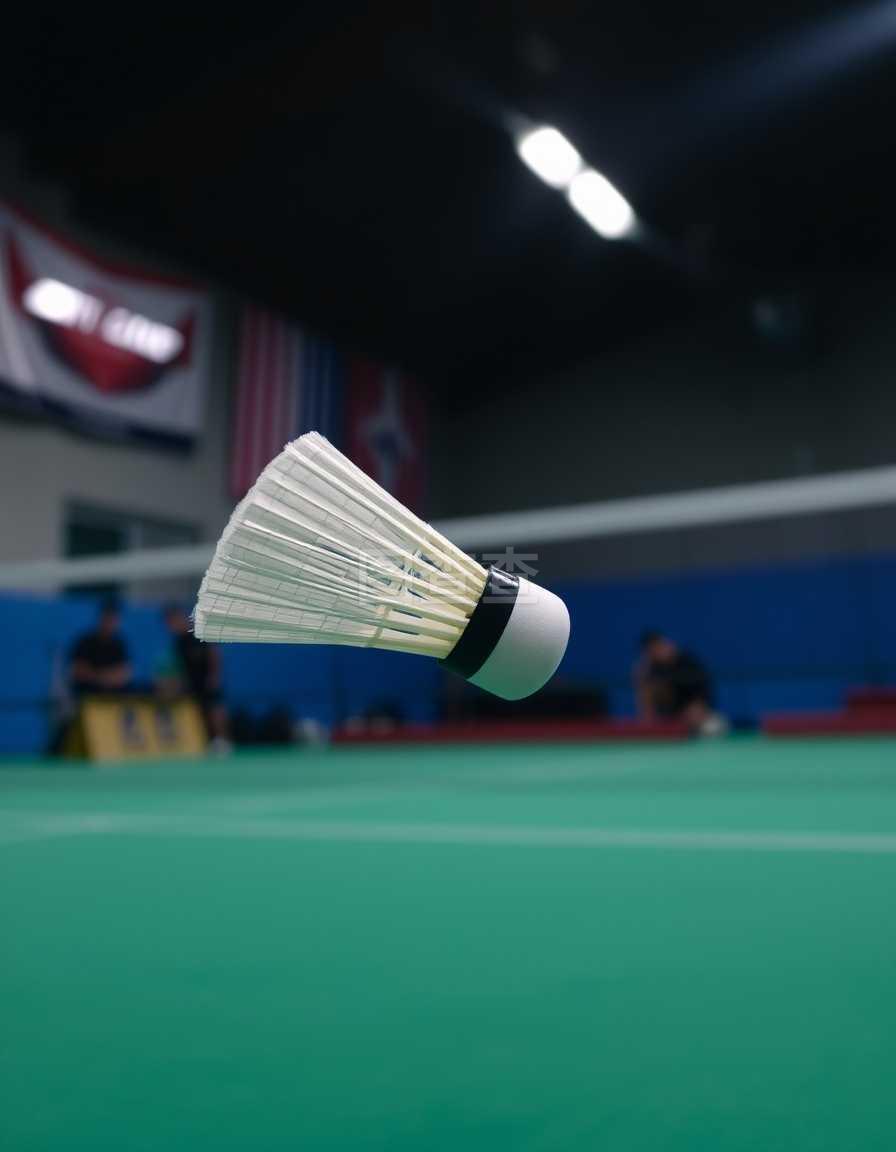 他们在比赛 他们在比赛